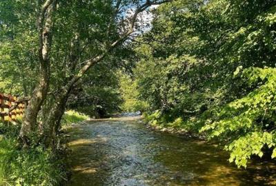 Spațiu comercial, în Plaiul Foii - 3