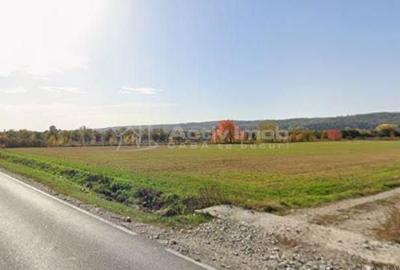 Spațiu comercial, în Mânjina - 3