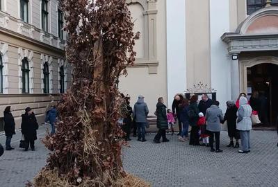 Casă cu 6 camere în Bazoș - 4