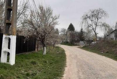 Teren de 6920 mp, în Dărmănești - 5