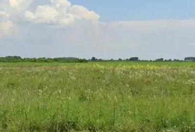 Teren Costestii din Vale, ID: R2582235 - 7