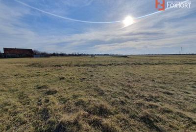 Teren Construcții intravilan de 6400 mp, în Pădureni (Jebel) - 11