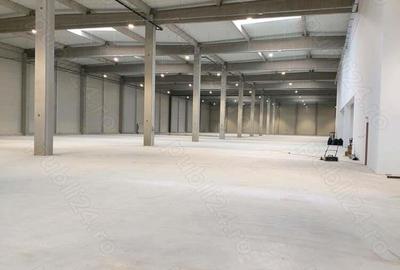 Hala noua, 7014mp, de vanzare, in Biharia, la 3km de autostrada - 6