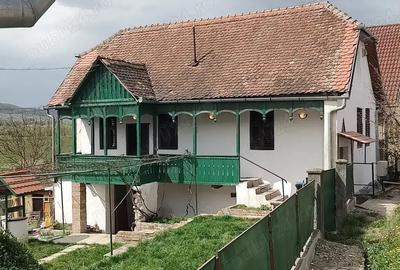 De Vanzare, proprietate frumoasa la ?ara! - 3