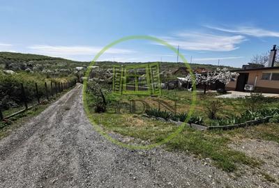 Casă individuală cu 2 camere cu Canalizare în Dealuri Oradea - 3