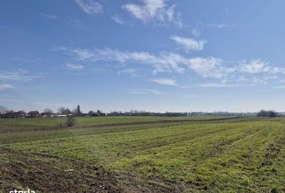 Teren de 1663 mp, în Ulmi - 11