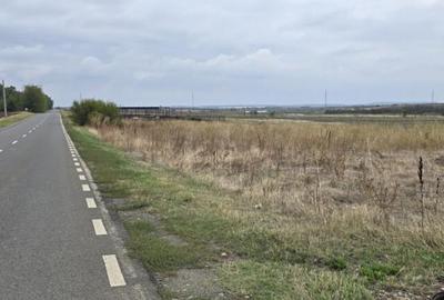 TEREN BRANESTI pentru MICA DEZVOLTARE IMOBILIARA. - 5