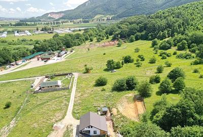 Teren Intravilan parcele 1000mp - 25