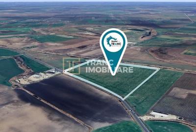 Teren agricol extravilan de 128500 mp, în Vest - 3