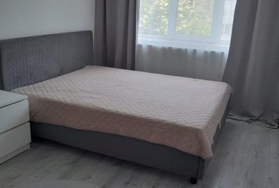 Apartament cu 2 camere semidecomandat, mobilat în Brazda lui Novac - 5