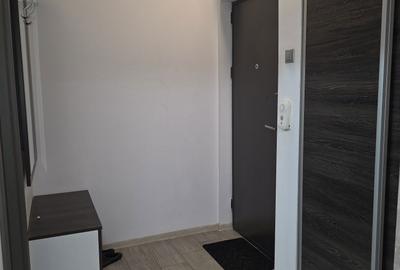 Apartament cu 2 camere semidecomandat în Craiovei - 8