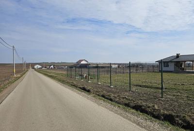 Teren de 700 mp, în Exterior Vest - 5