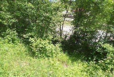 Teren de 10000 mp, în Central - 6