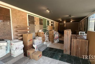 Depozit + Showroom, zonă premium Tomis Plus – Bulevardul Tomis - 8