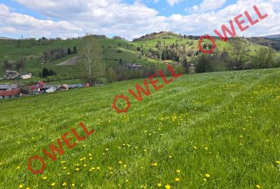 Teren extravilan de 8157 mp, în Sita Buzăului - 9