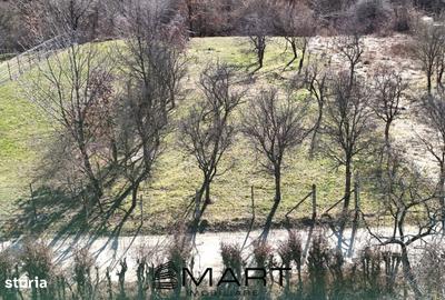 Teren de 1000 mp, în Central