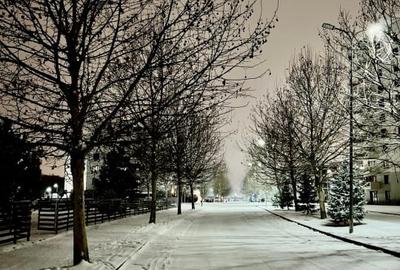 Direct Proprietar | Studio Modern in Greenfield Residence – Langa Padurea Baneas - 13