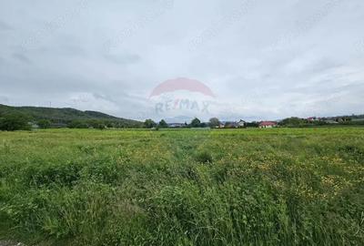 Teren de 1495 mp, în Dobreni - 2