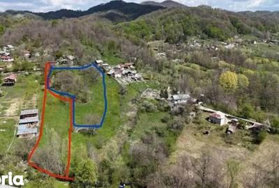 Teren de 3513 mp, în Vișinești - 1