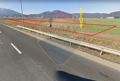 Teren Construcții intravilan de 5315 mp, în Centură - 2