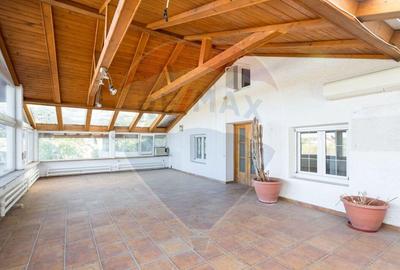 Spațiu comercial, de 474 mp, în Snagov - 14