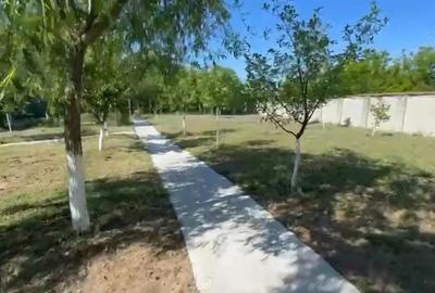 Casă cu 8 camere cu Teren 5000 Mp în Malu Mare - 4