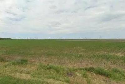 Teren de 1200 mp, în Pogoanele - 4