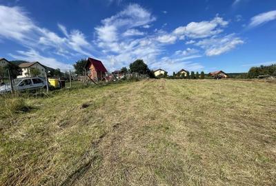 Spațiu comercial, în Central