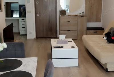 Timisoara, zona Calea Aradului Est Timisoara, zona Calea Aradului Est - 2