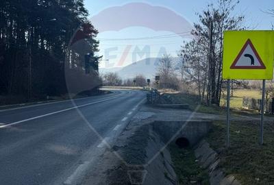 Teren Construcții intravilan de 7968 mp, în Est - 4