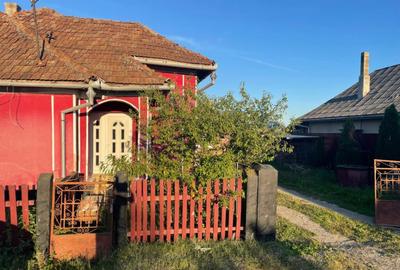 Casă cu 2 camere cu Teren 2751 Mp în Lucăcești