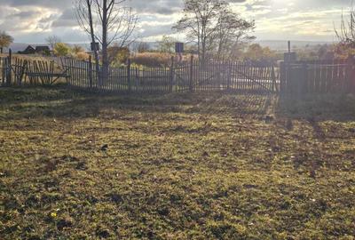 Teren de 1450 mp, în Valea Crișului - 5