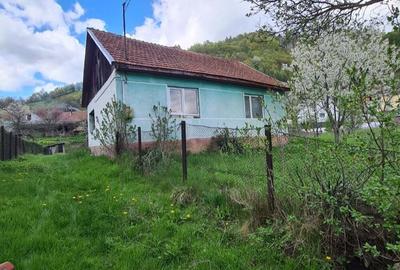 Casă cu 3 camere cu Teren 500 Mp în Rusca