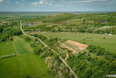 Teren extravilan in vecinatatea Manastirii Feredeu - 1