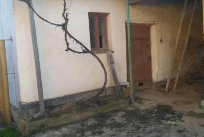 Casă cu 4 camere cu Teren 2000 Mp în Brusturi - 4