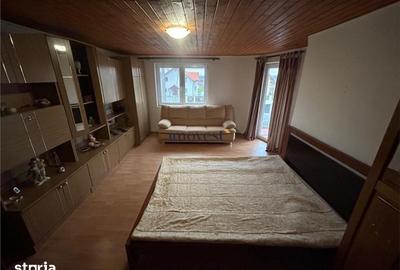 Casă cu 6 camere cu Teren 1375 Mp în Medieșu Aurit - 9