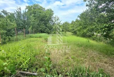 Casa individuala 3 camere, teren 678 mp Parneava - 4