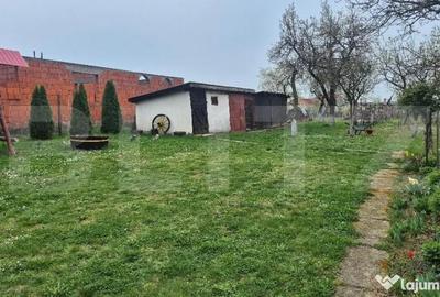 Casă cu 2 camere cu Canalizare în Viile Satu Mare - 6