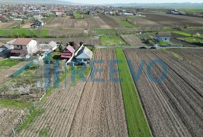 Teren de vânzare, Com. Nicolae Bălcescu, Jud. Bacău - 13