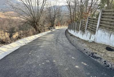 Teren de 29119 mp, în Nucșoara - 5