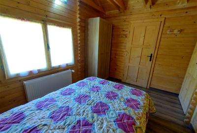 Casă individuală cu 3 camere cu Canalizare în Ciclova Română - 10