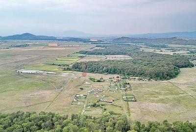 Teren Extravilan - 4