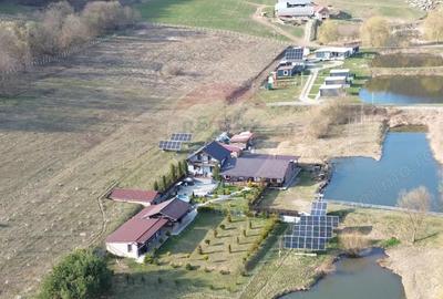 Teren de 7000 mp, în Hoghilag - 1