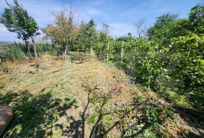 Casa individuala cu 4 camere,150 mp utili,1700 mp teren,Blaj - 14