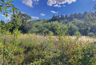 Casă individuală cu 7 camere cu Teren 842 Mp în Naidăș - 20