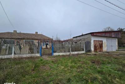 Casă cu 3 camere în Potârnichea - 1
