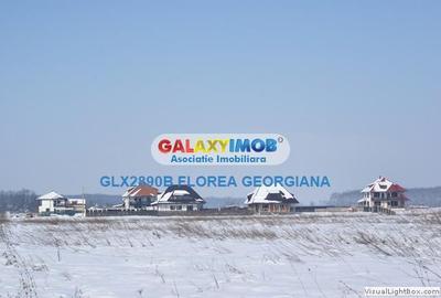 Casă cu 1 camere cu Teren 880 Mp în Bălteni - 3