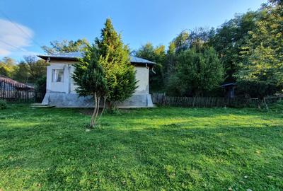 Teren Construcții intravilan de 20000 mp, în Valea Lungă - 13