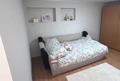 Inchiriez apartament 1 camera, 20-30mp, loc de parcare, zona centrala - 5