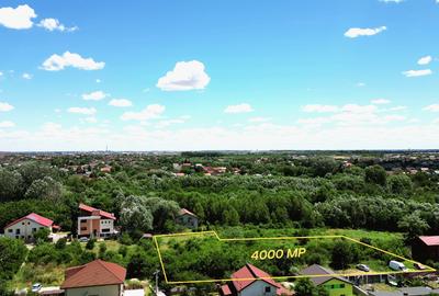Teren Construcții intravilan de 1000 mp, în Domnești - 2